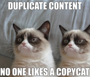 duplicate content